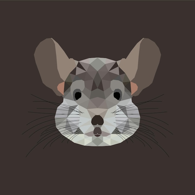 Vector la ilustración del polígono chinchilla