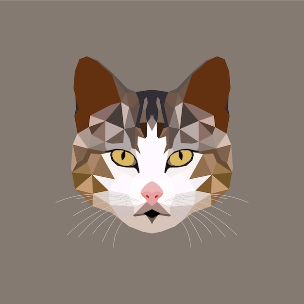 La ilustración del polígono del gato