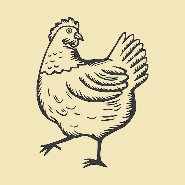 Ilustración de pollo