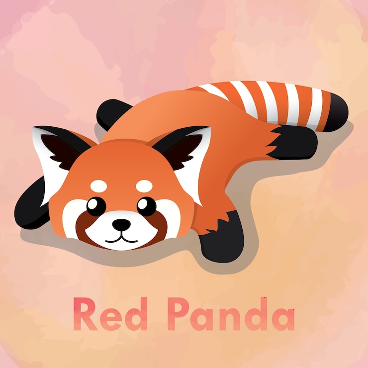 Vector ilustración de poner lindo panda rojo