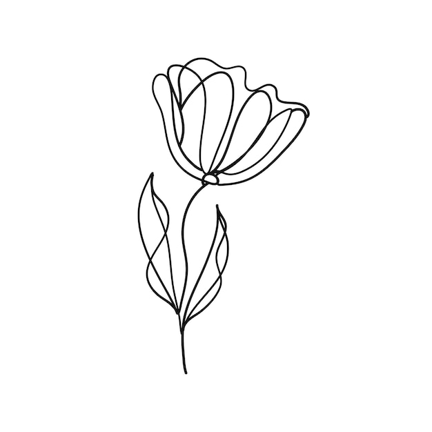 La ilustración presenta una sola elegante flor de magnolia en un hermoso estilo de arte de línea El minimalis