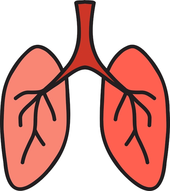 Ilustración de pulmones dibujados a mano