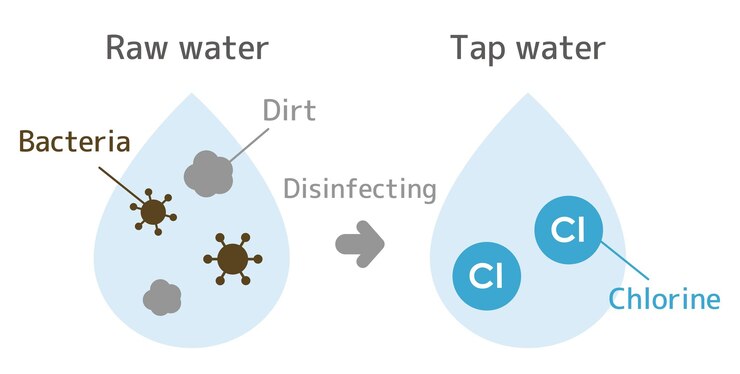Vector ilustración hasta que el agua cruda se desinfecta con cloro para convertirse en agua del grifo