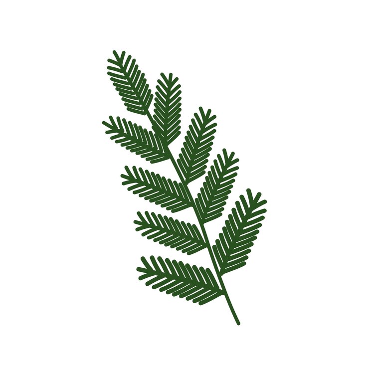Ilustración de la rama del helecho verde