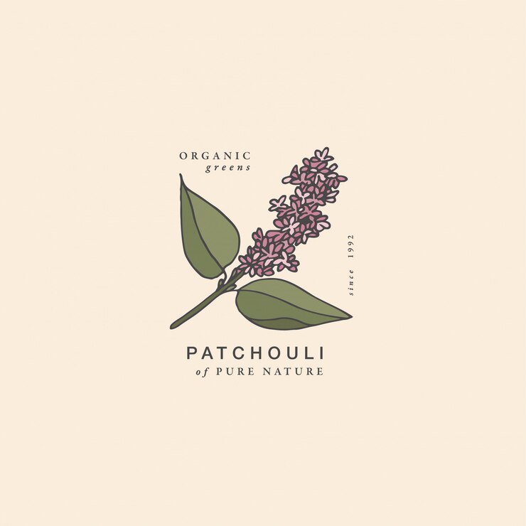 Ilustración rama de pachulí - estilo vintage grabado. Composición del logo en estilo botánico retro.