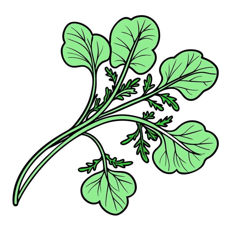 Vector ilustración de la rama verde de la hierba hojas frescas y delicadas