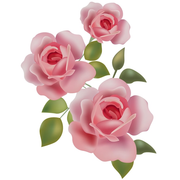 Ilustración de ramo de rosas arreglo floral sombreado