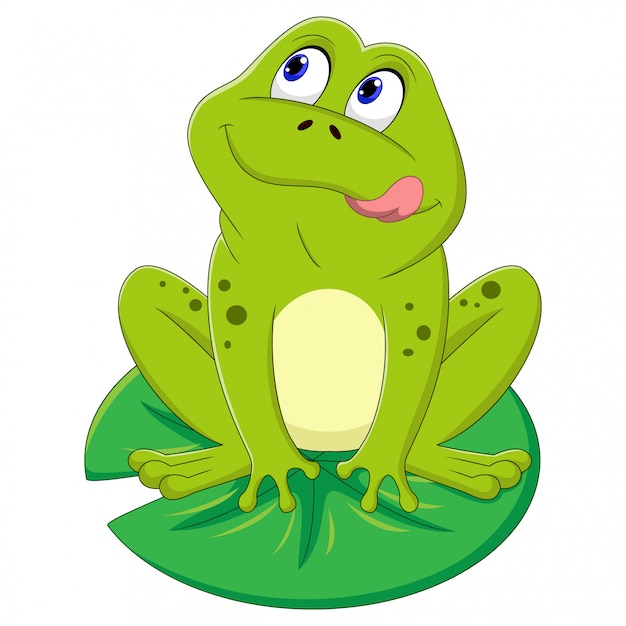 Ilustración de rana verde sentado en una hoja