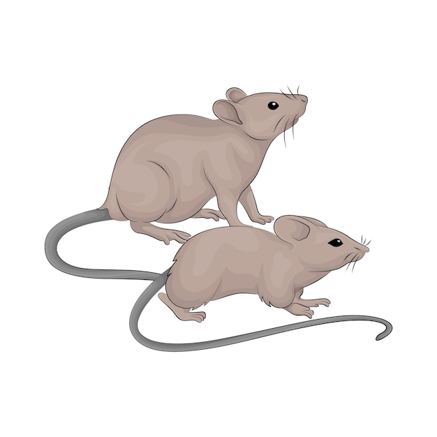 Ilustración de un ratón
