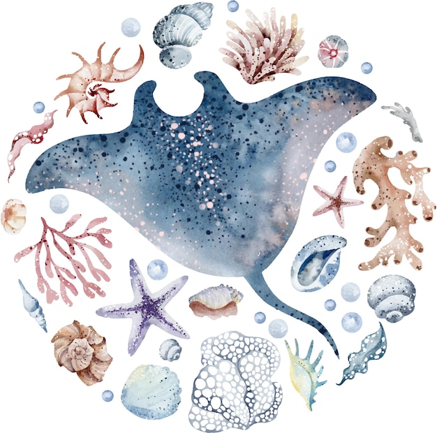 Ilustración de las rayas oceánicas