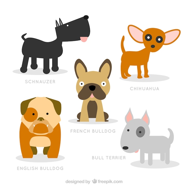 Vector ilustración de razas de perros lindos