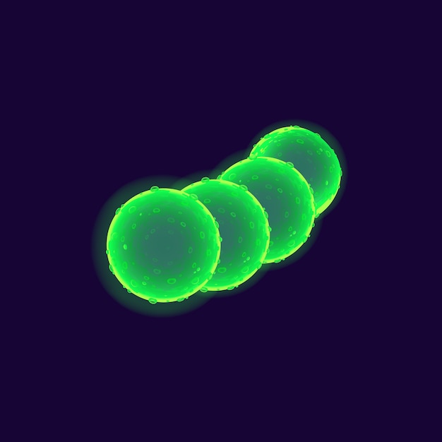 Vector ilustración realista de células bacterianas