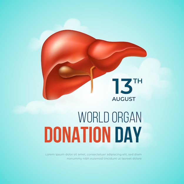 Vector ilustración realista para el día mundial de la donación de órganos.