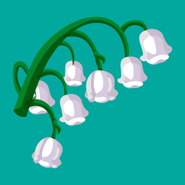 Ilustración realista de flor de campanilla blanca