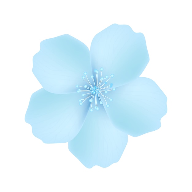 Ilustración realista de la flor del cerezo sobre un fondo blanco