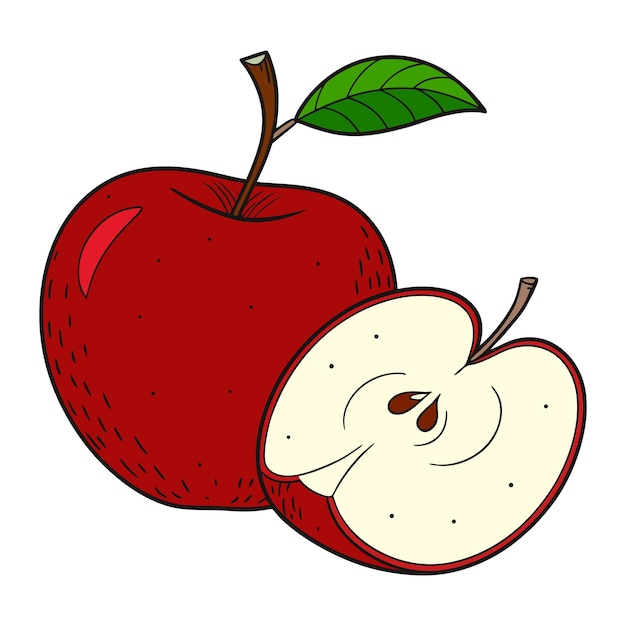 Ilustración realista de una manzana roja y una rebanada de manzana