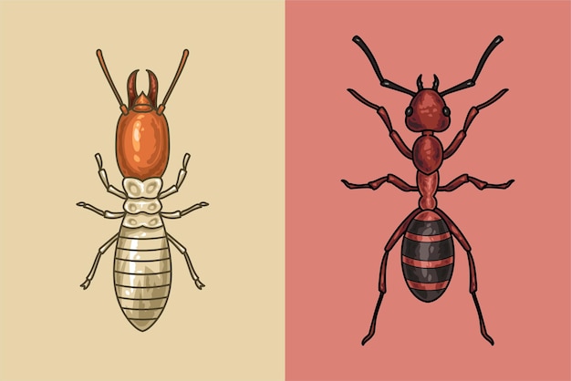 Ilustración realista de termitas y hormigas