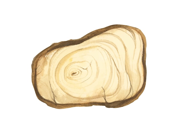 Ilustración de rebanada de madera Letrero de madera Sección transversal del tronco de árbol Estilo acuarela