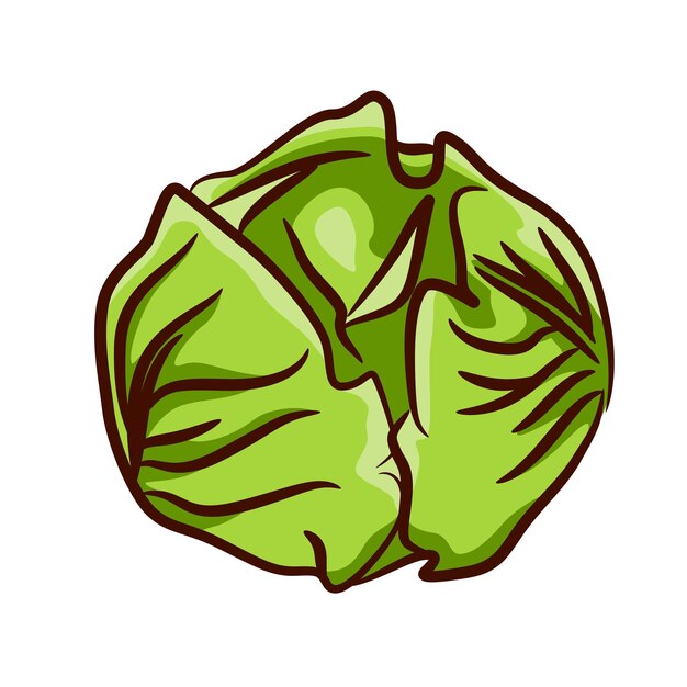 Ilustración de repollo en color verde Un producto de la dieta de los vegetarianos