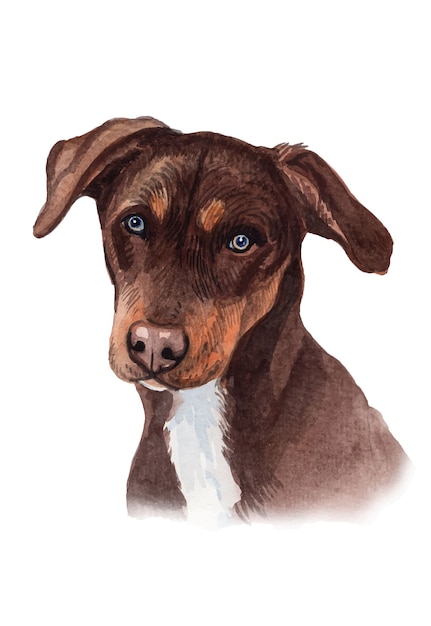Ilustración de retrato de perro pintado a mano de acuarela