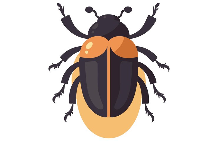Vector ilustración de rinoceronte de escarabajo diseño de arte de clip vector de icono de escaravala