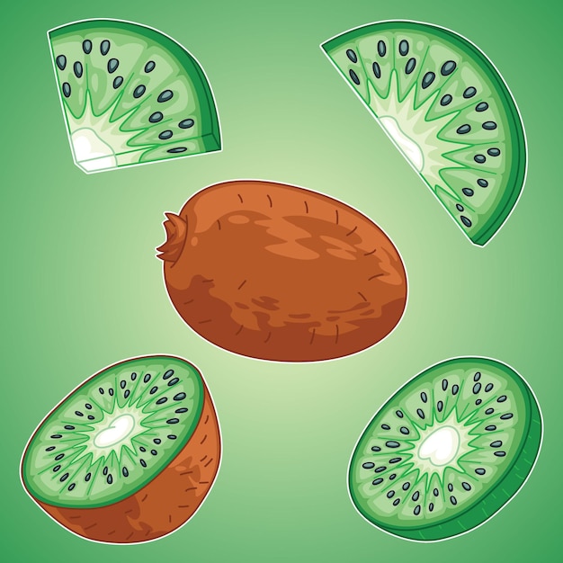 Vector ilustración de rodaja de kiwi