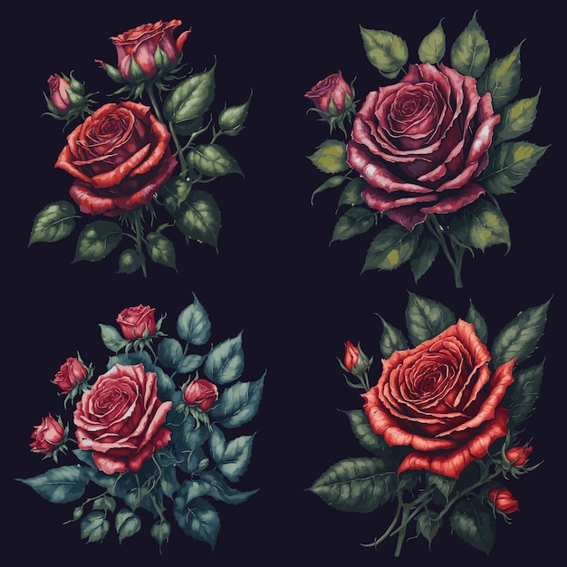 Vector ilustración de una rosa de acuarela