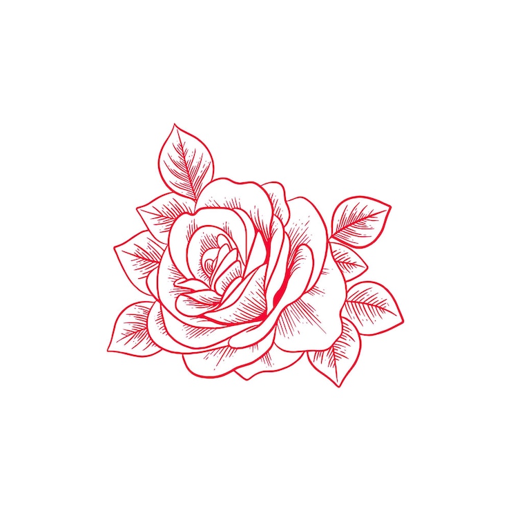 Vector ilustración de rosa dibujada a mano vector de rosa artística roja