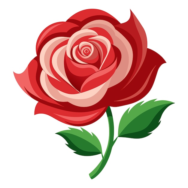 Ilustración de una rosa roja aislada en blanco