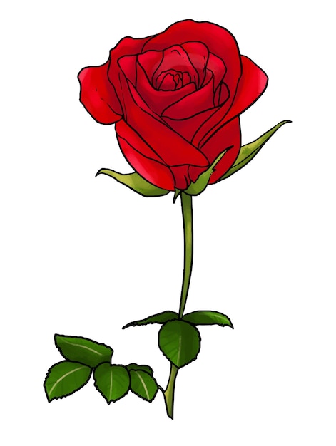Vector ilustración de rosa roja