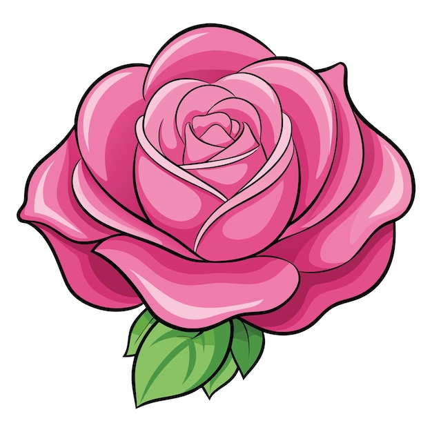 Ilustración de rosa sobre un fondo blanco