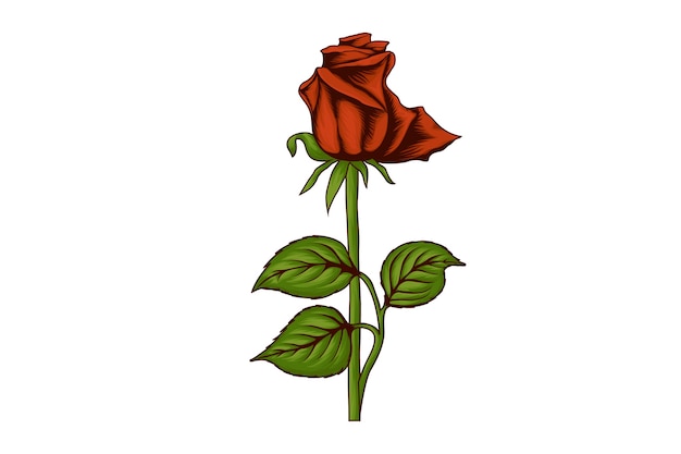 Vector ilustración de rosa