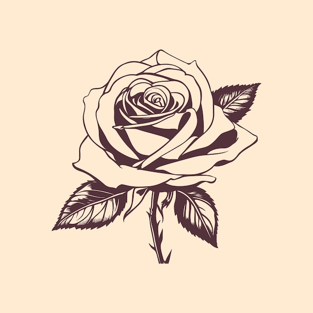 Vector ilustración de rosas dibujadas a mano por vector libre