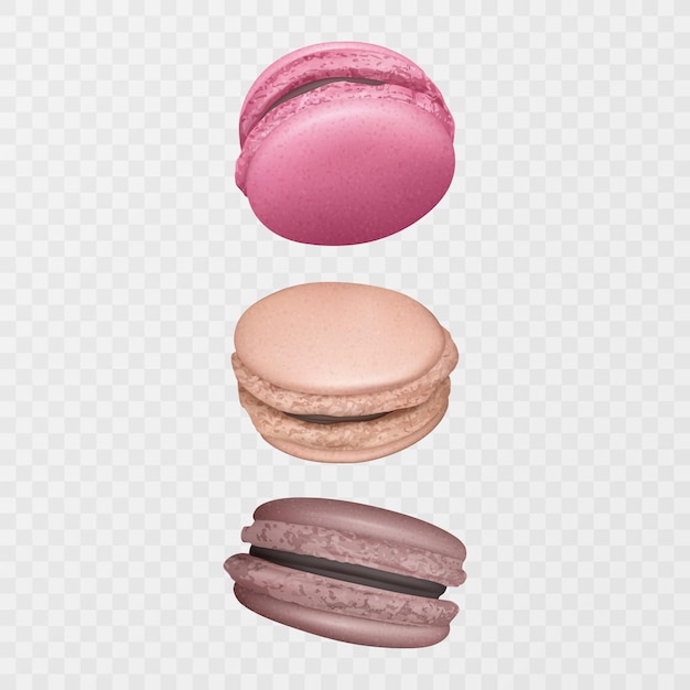 Ilustración de sabroso macaron francés colorido macaron realista en formato vectorial de fondo claro