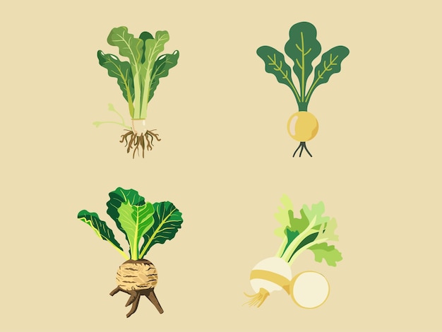Ilustración saludable y agradable de la médula