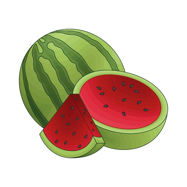 Ilustración de la sandía