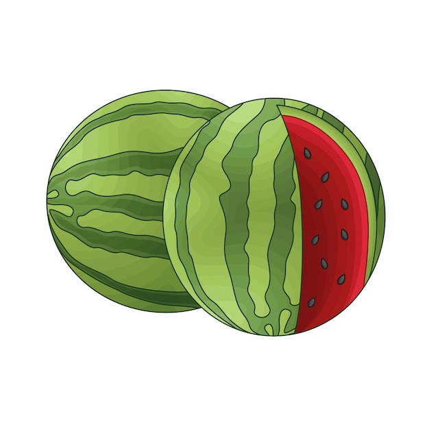 Ilustración de la sandía