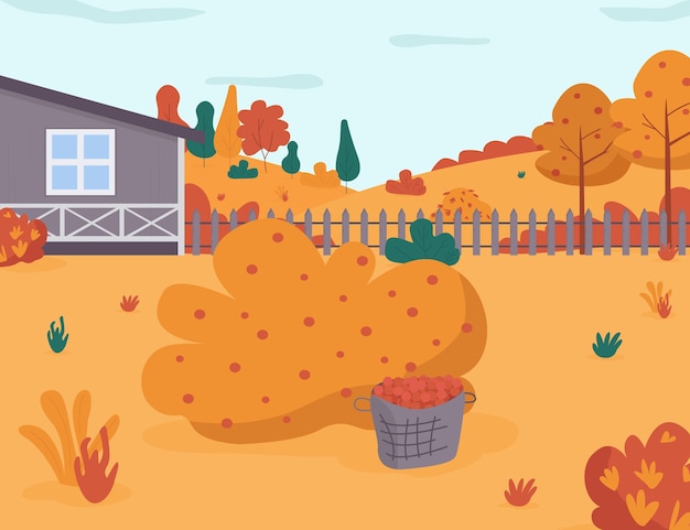 Ilustración semi plana de cultivo de jardín de otoño. cosecha estacional de arbustos de bayas. patio trasero de la casa. jardín de la casa en el patio con arbustos. paisaje de dibujos animados 2d estacional de otoño para uso comercial