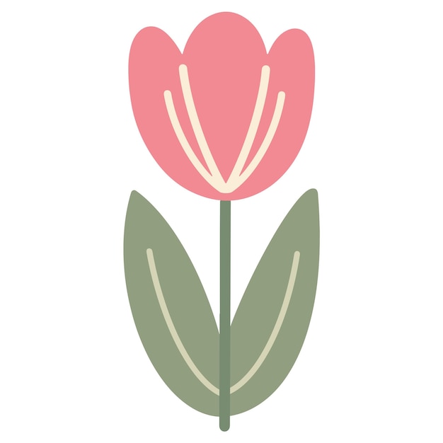 Ilustración sencilla de la flor del tulipán rosa con hojas verdes