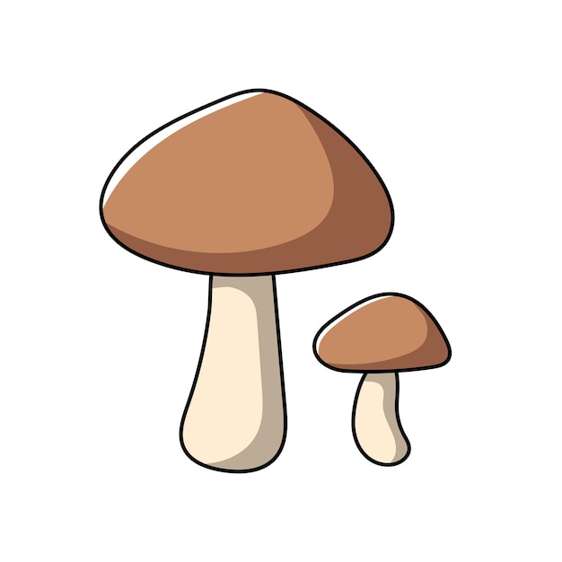 Ilustración de setas vegetales vectoriales fondo blanco