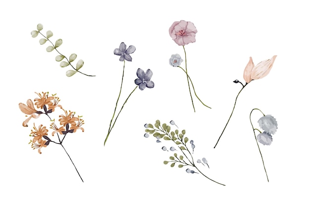 Ilustración de siete flores