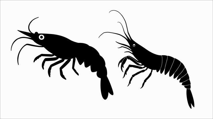 Ilustración de la silueta de camarón en blanco y negro