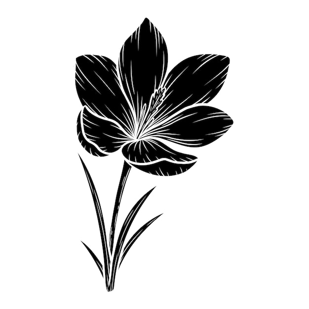 Ilustración de silueta de flor de crocus vectorial dibujo de silueta floral de azafrán boceto de flor silvestre arte de contorno botánico dibujado a mano elemento de diseño aislado para el logotipo del patrón de fondo