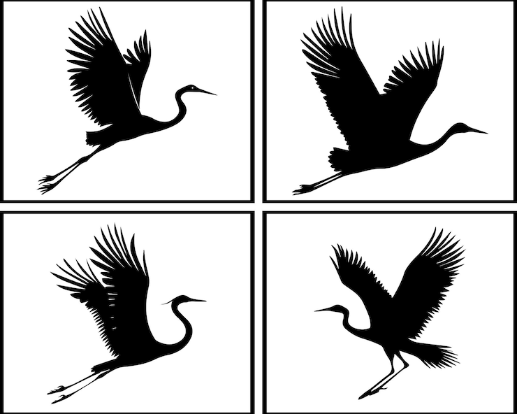 Ilustración de la silueta de las grullas voladoras en blanco y negro