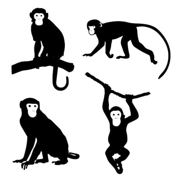 Ilustración de silueta de mono buena para el logotipo silueta de conjunto de mono