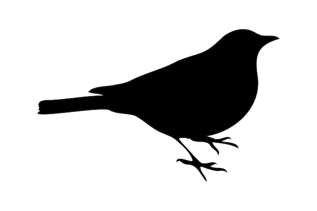Ilustración de la silueta de un pájaro negro