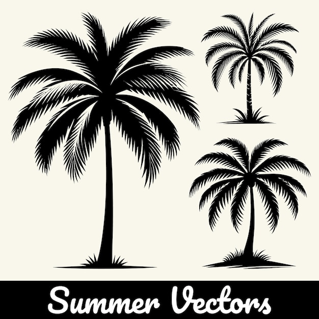 Ilustración de la silueta de una palmera de verano en forma vectorial