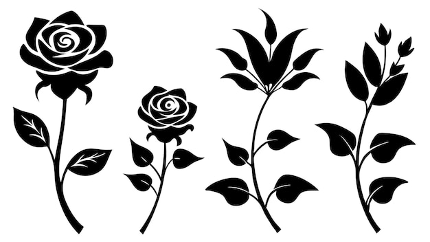Ilustración de la silueta de la rosa atemporal