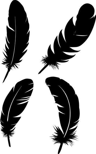 Ilustración de silueta de vector de pluma negra 4