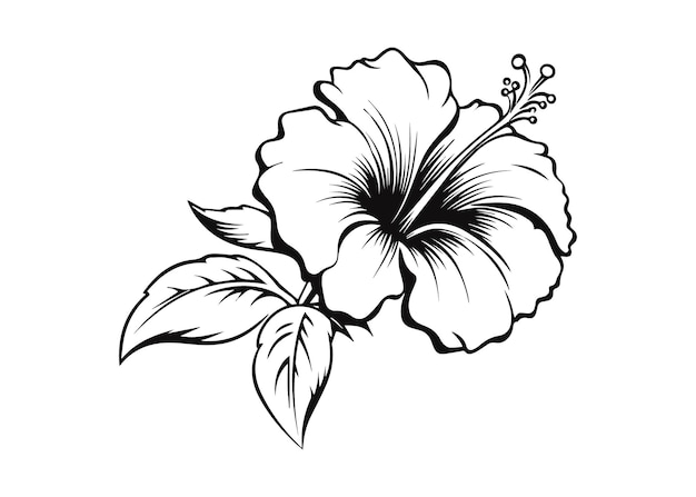 Ilustración de la silueta vectorial de un hibisco